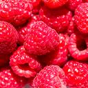 Frambuesa