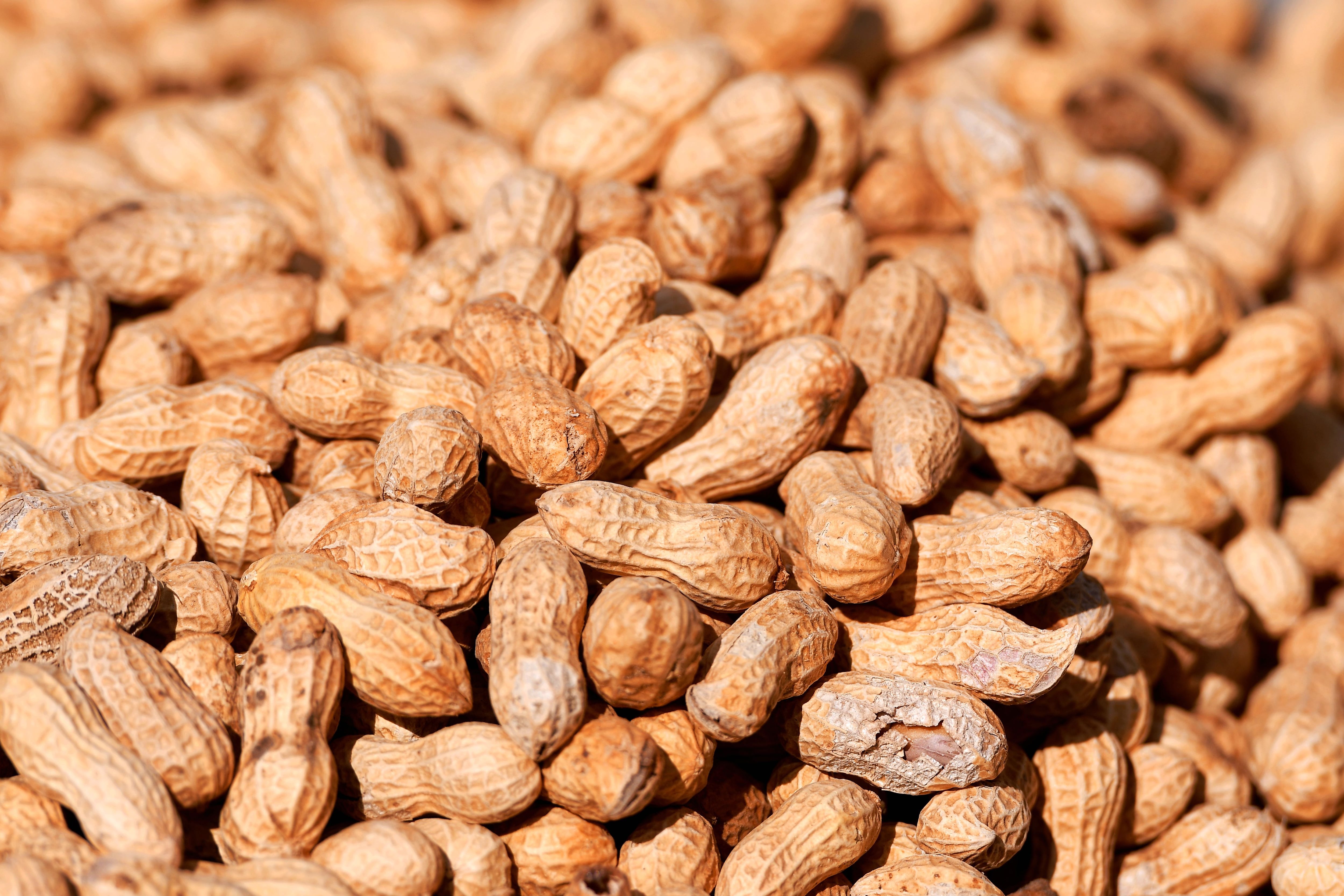 (Photo credit should read CFOTO/Future Publishing via Getty Images)