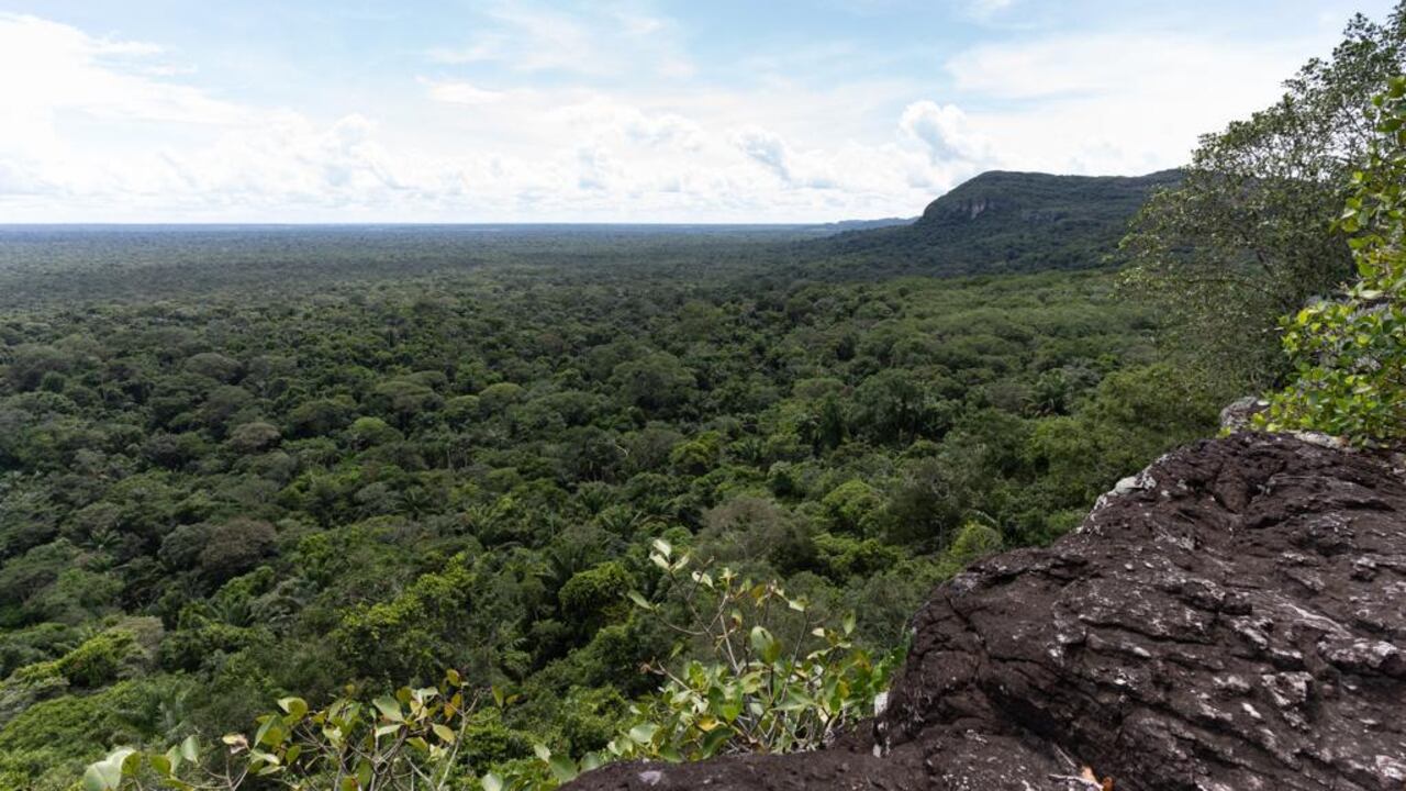 Amazonía colombiana.