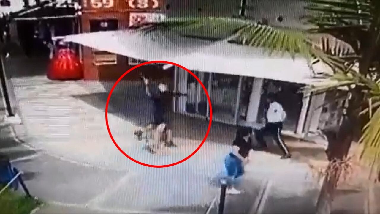 El hombre intentó agredir con un machete a un guardia de seguridad, por lo que el perro salió en su defensa y terminó herido.