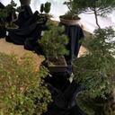 Habrá una exposición de Bonsáis en el Jardín Botánico de Bogotá