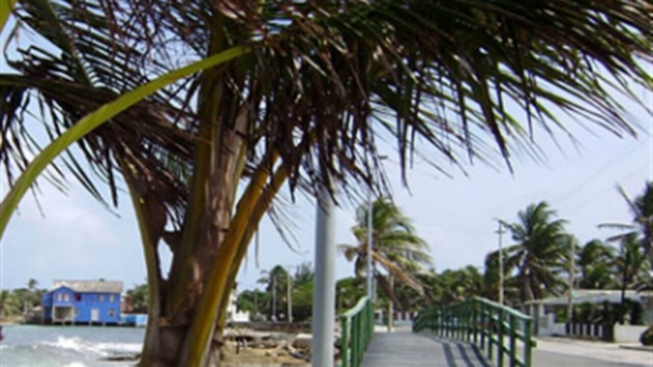 Teniendo en cuenta las consideraciones y aportes de los expertos, se tomará la decisión de qué hacer.