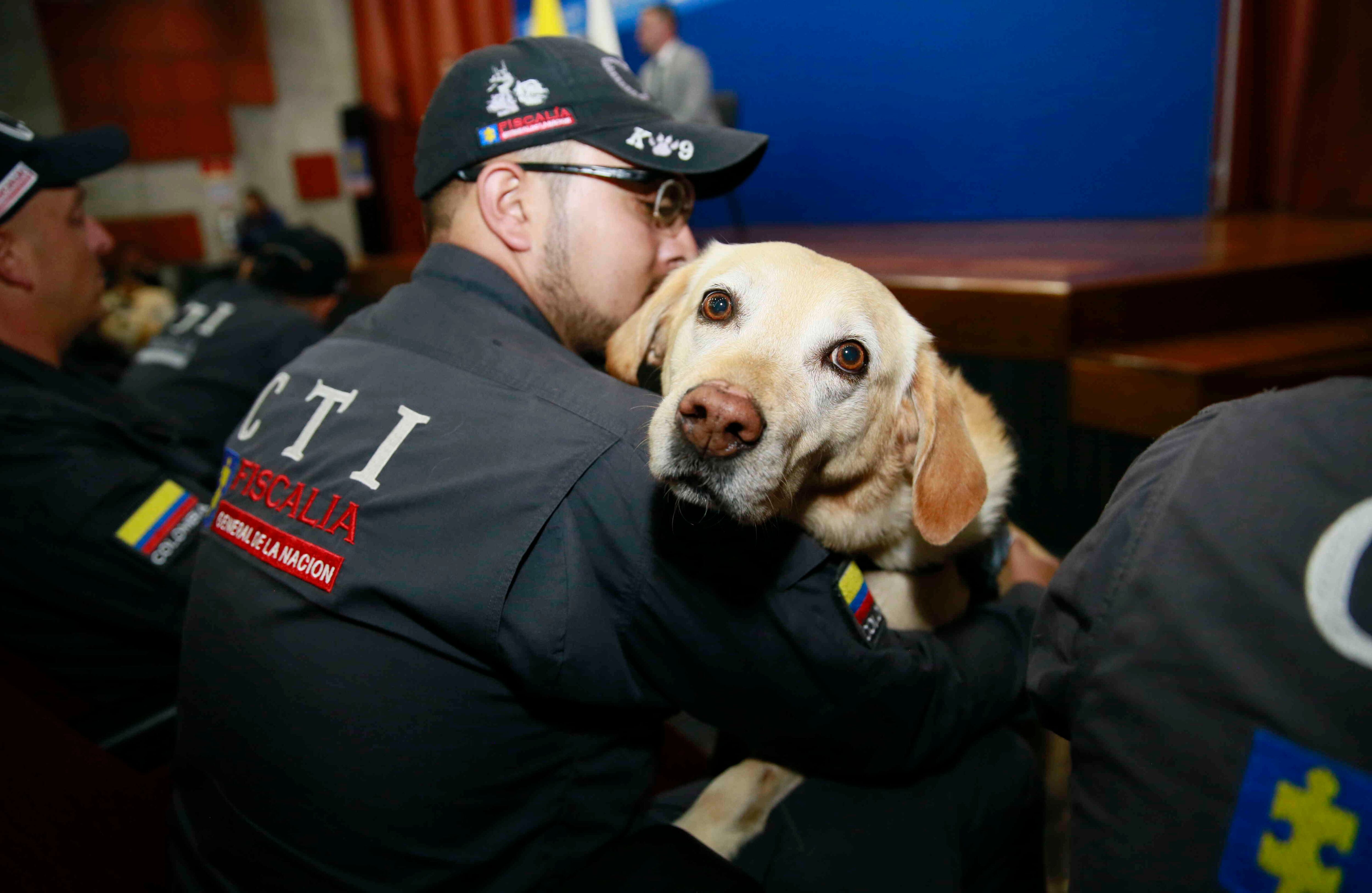 Los 14 perros fueron adoptados por los respectivos investigadores que los tenían bajo su cuidado.