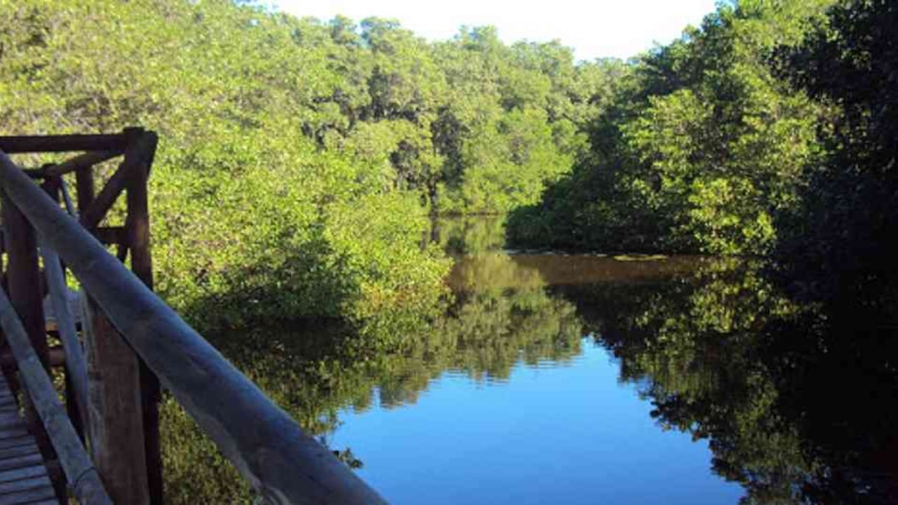 El vía Parque Isla de Salamanca tiene una extensión superior a los 56.000 kilómetros cuadrados. Foto. Parques Nacionales