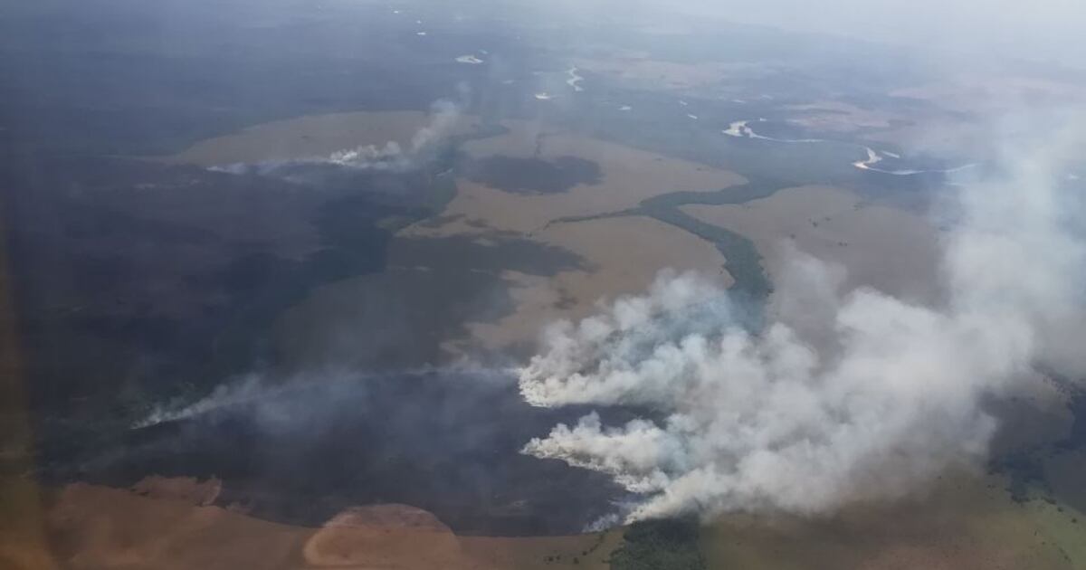 Incendio forestal presentado en el Parque Nacional Natural El Tuparro.