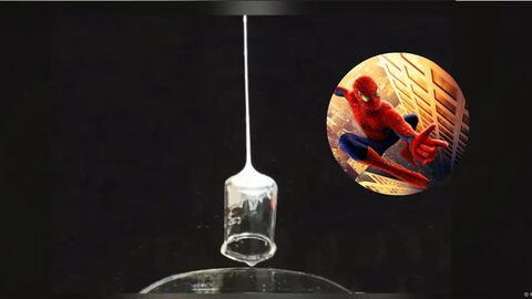 La telaraña tiene una gran resistencia, potencia y cuenta con un grosor que puede se desapercibido.