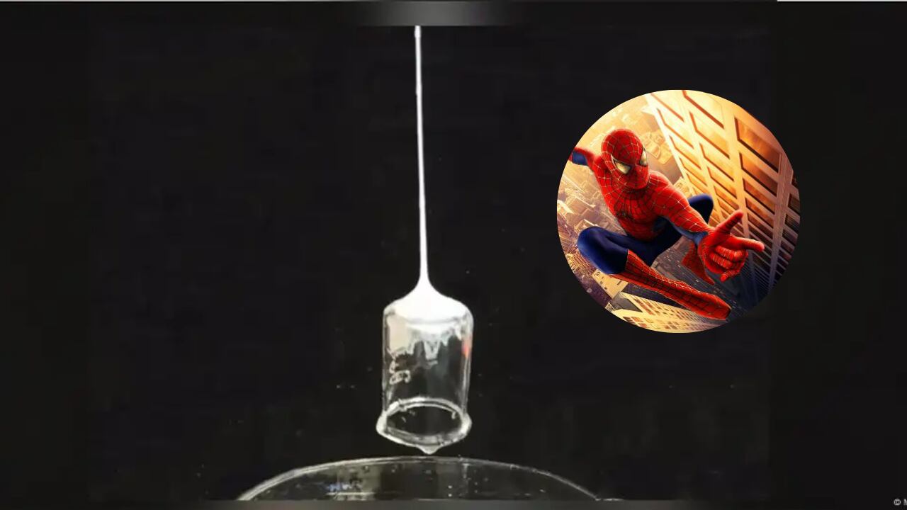 La telaraña tiene una gran resistencia, potencia y cuenta con un grosor que puede se desapercibido.