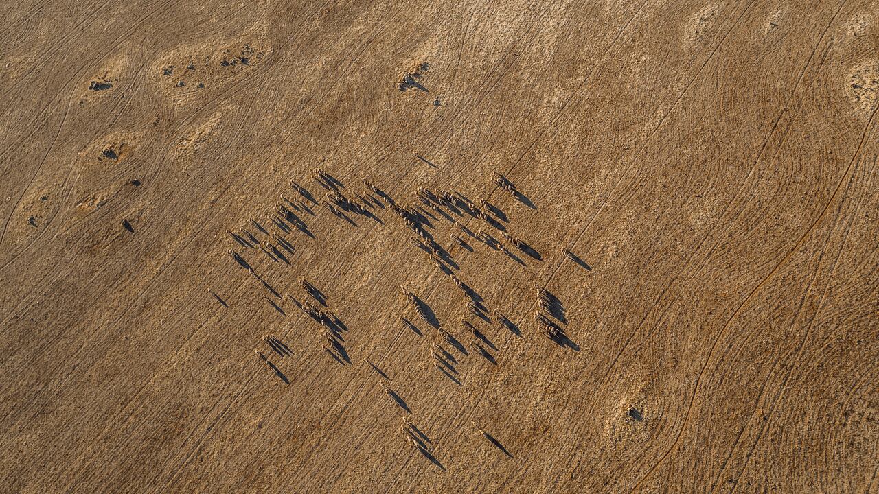 El descubrimiento develó el misterio de una explosión registrada el mes anterior.