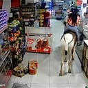 La mujer entró hasta la tienda montada en el caballo