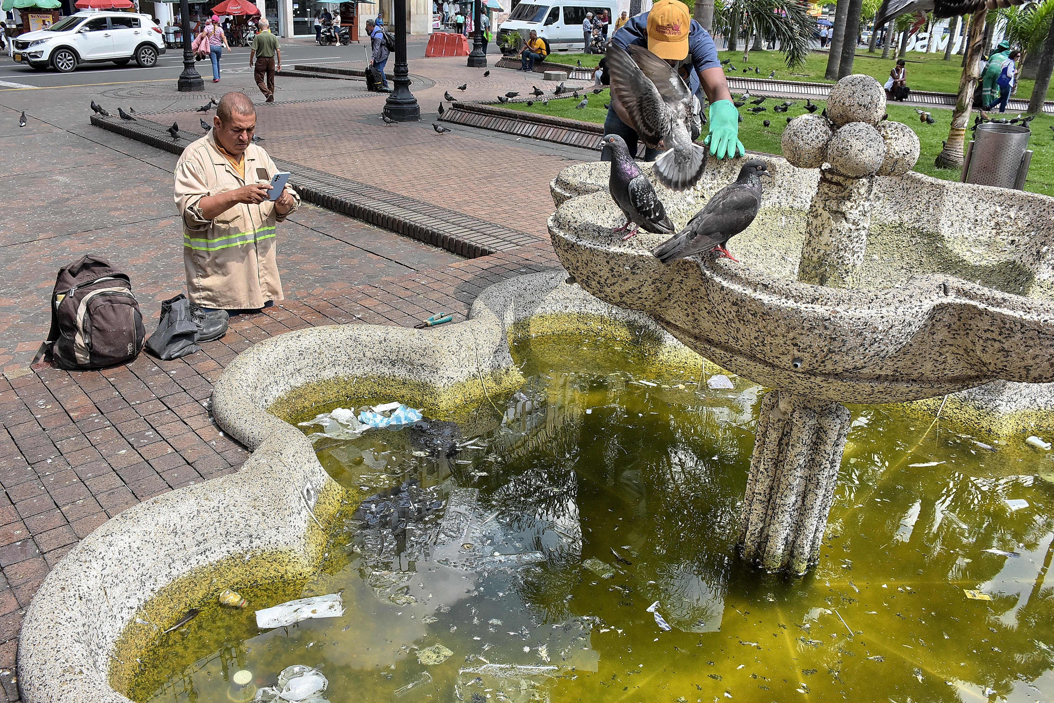 Limpieza de basuras en fuentes.