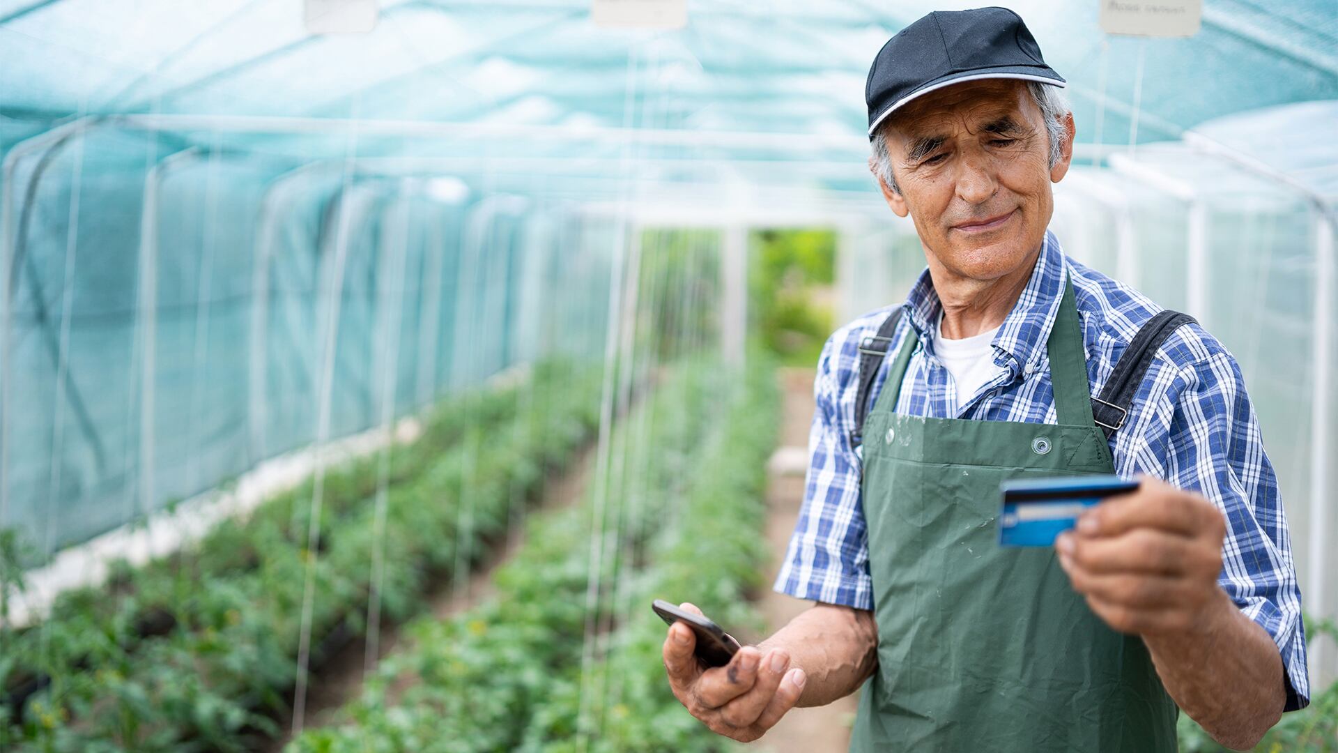 La generación X y los baby boomers son considerados como inmigrantes digitales.
