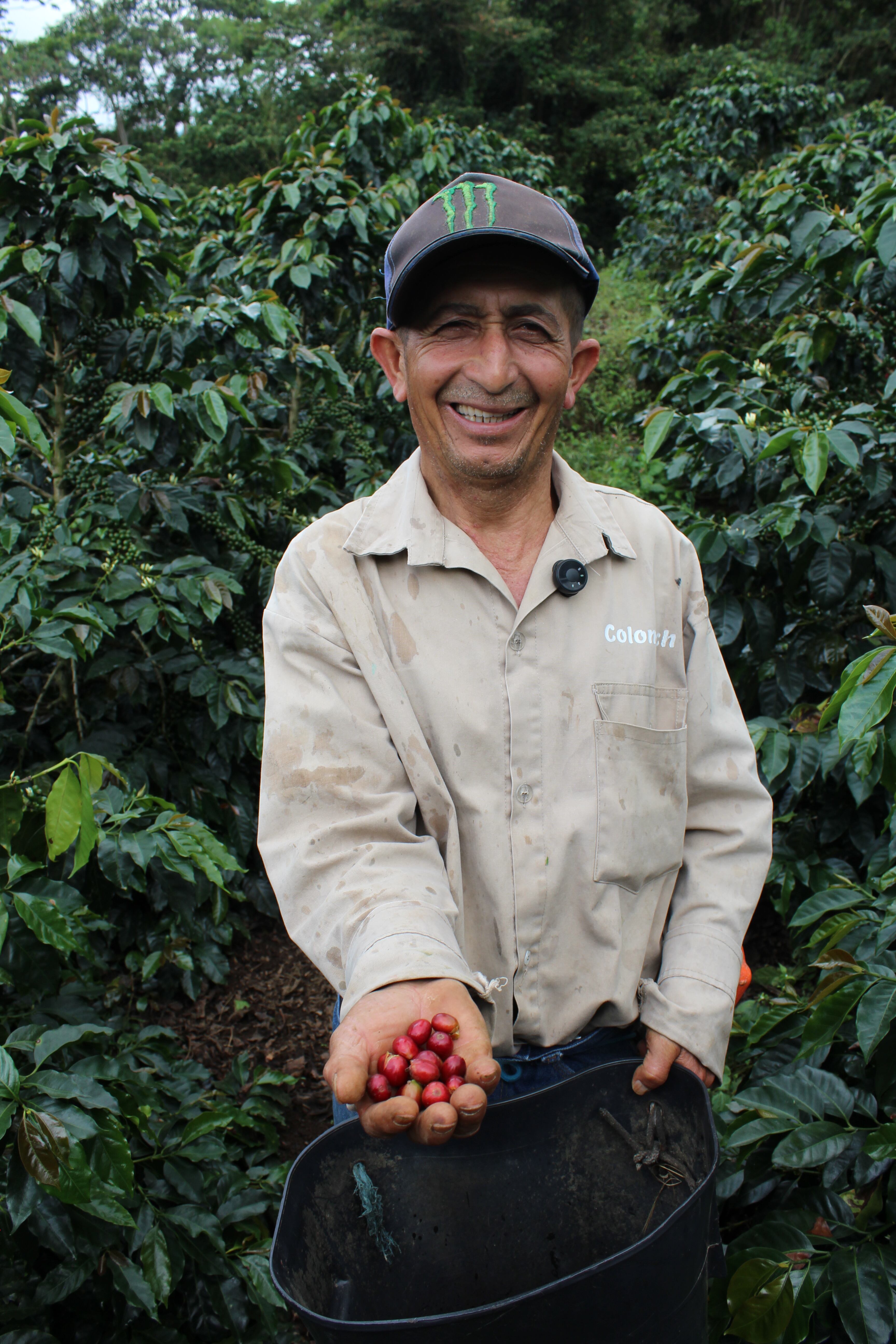 Caficultores del Valle del Cauca
