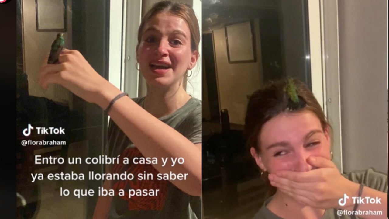 El hecho se presentó en Argentina y se viralizó por Tik Tok.