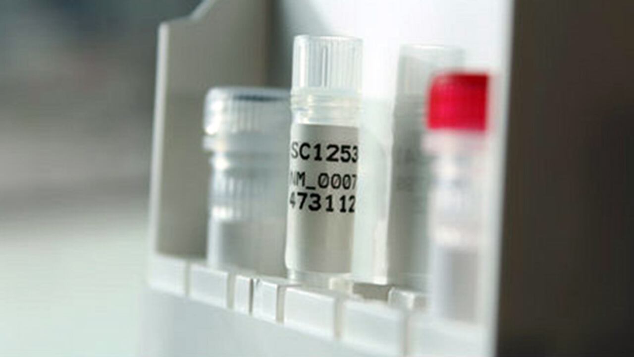 El gen se puede cultivar en la cocina