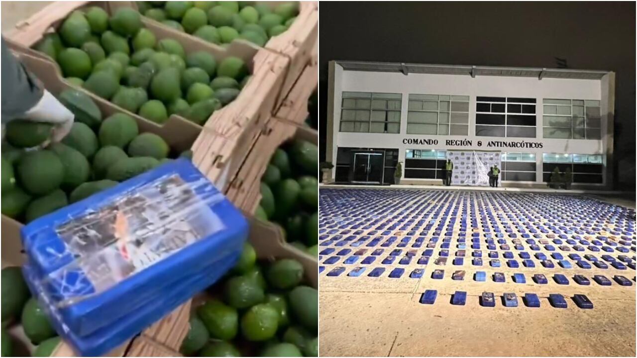 Descubren 1,7 toneladas de cocaína camufladas en aguacates; el Clan del Golfo pretendía enviarlas de Santa Marta a Portugal