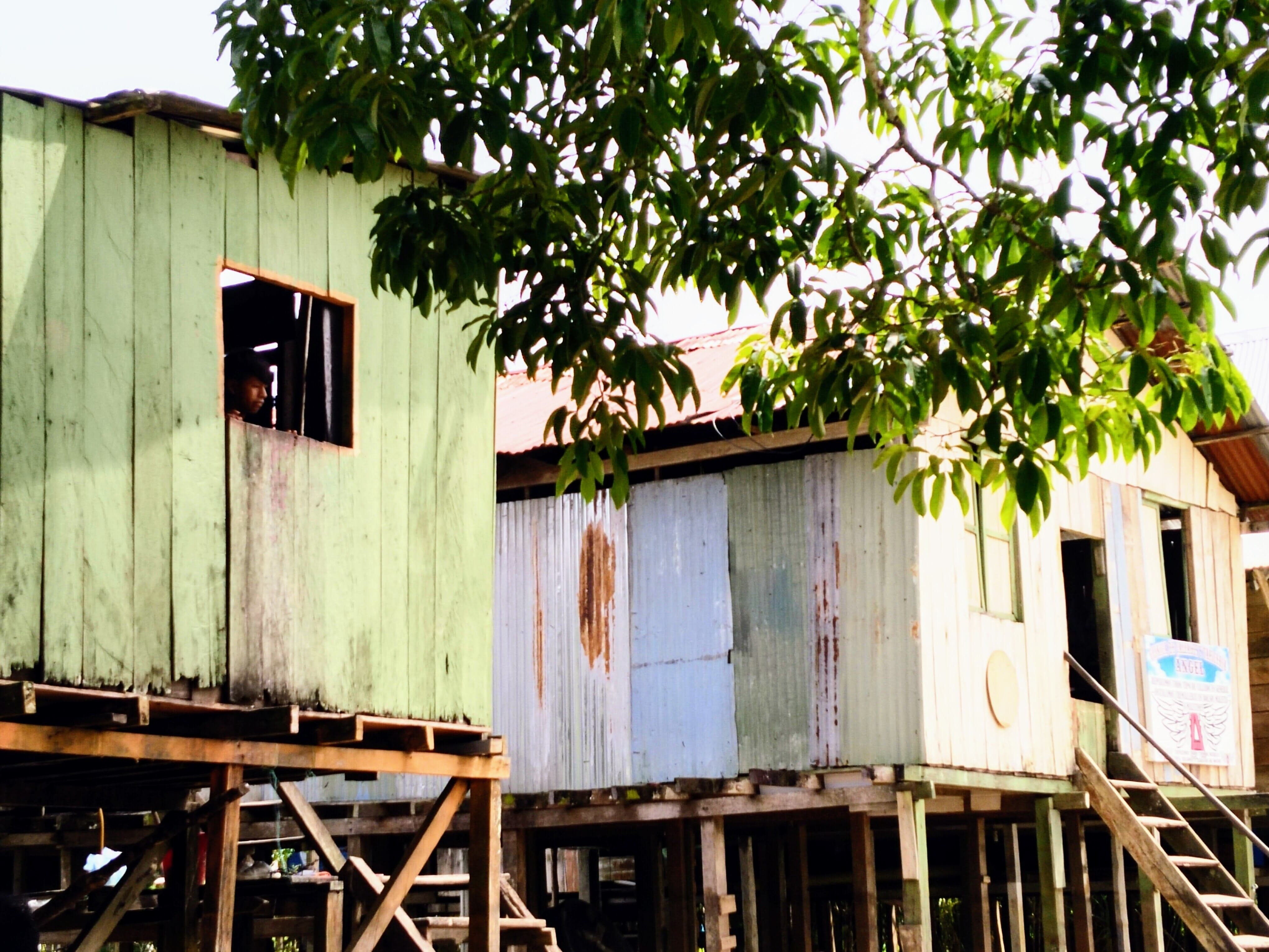 Amazonas - Viaje al pulmón del mundo