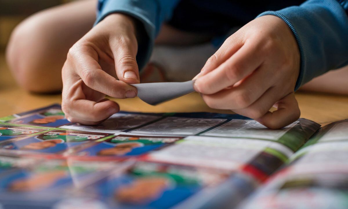 Así será el álbum Panini de la Copa América.