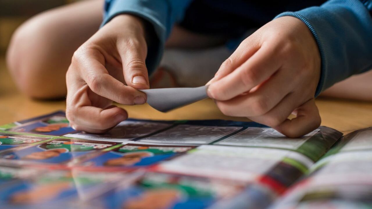 Así será el álbum Panini de la Copa América.