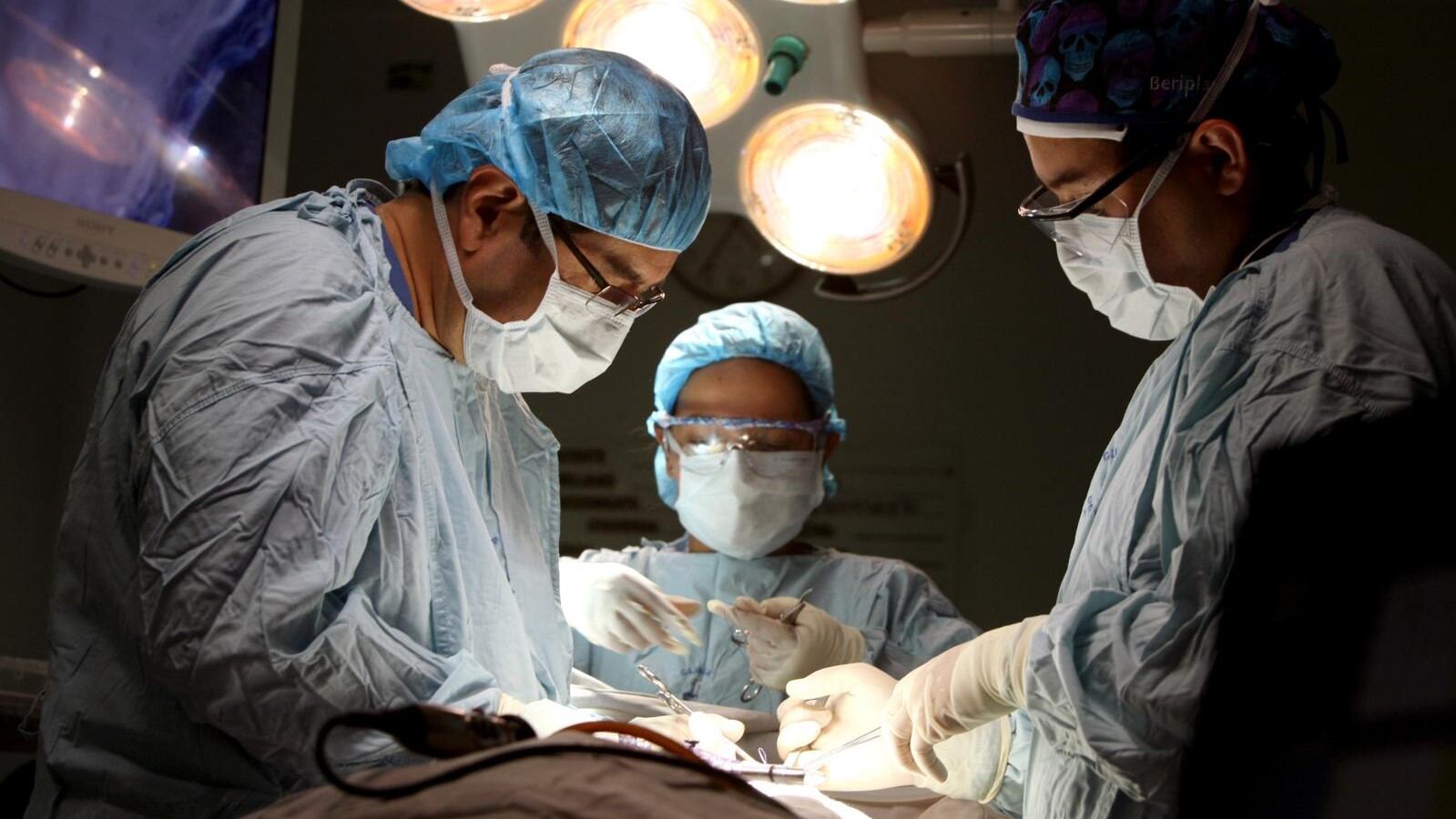 NO USAR, Especial Cáncer, Innovación