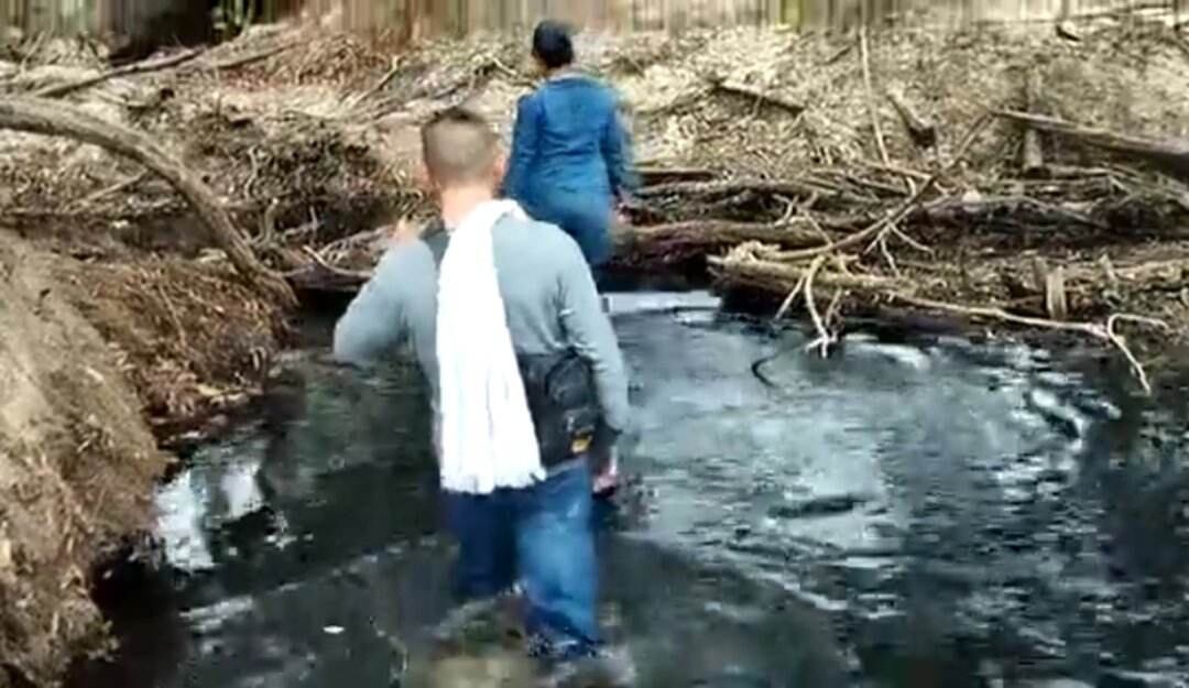 La autoridad ambiental asumirá la investigación.