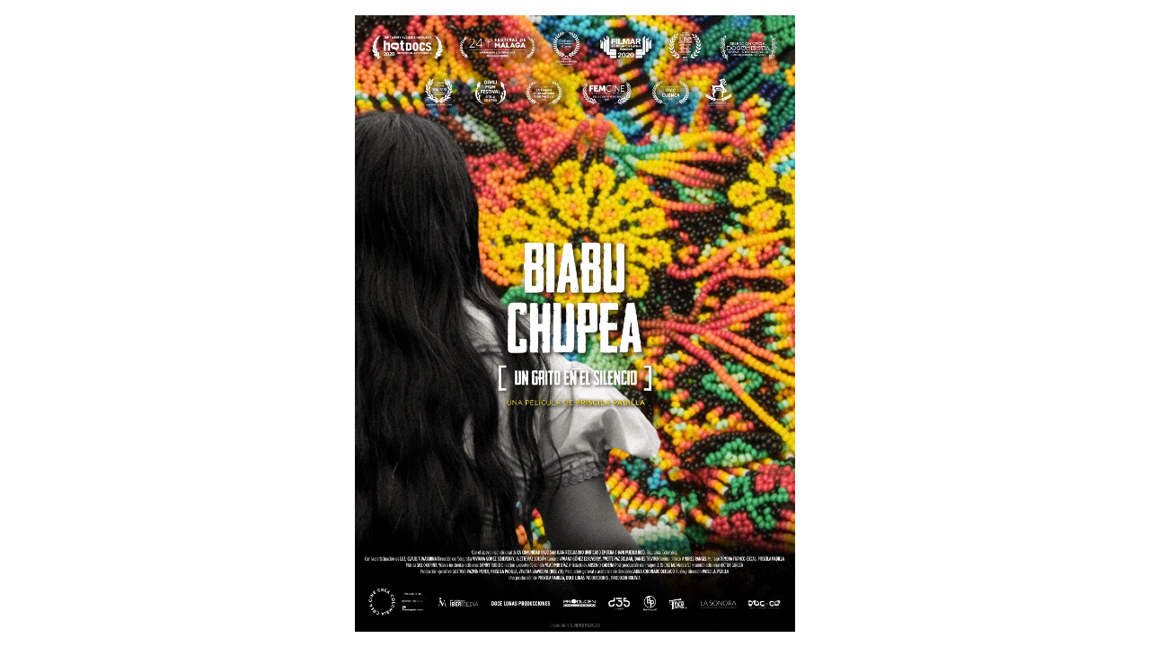 ‘Biabu chupea / Un grito en el silencio’, de Priscila Padilla