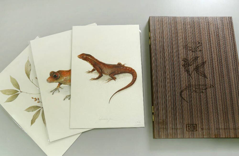 El presidente Juan Manuel Santos recibió de manera simbólica tres nuevas especies fruto de las otras expediciones al Amazonas