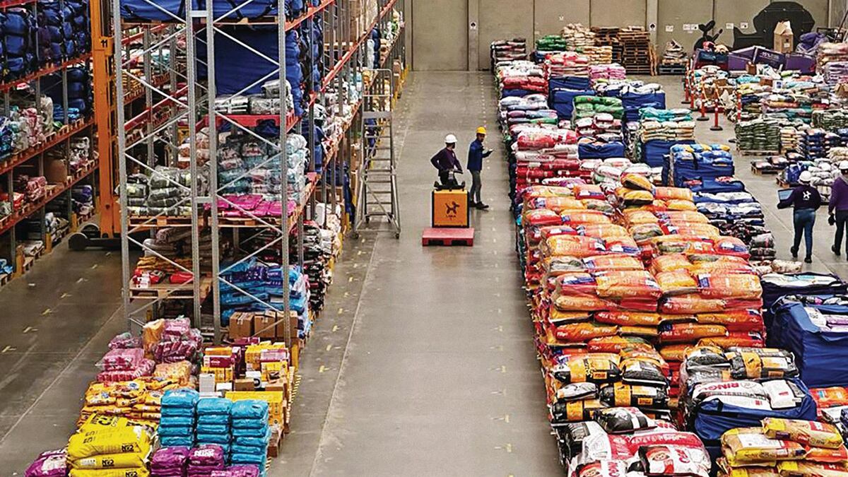 Especial Empresas que construyen país, Jóvenes