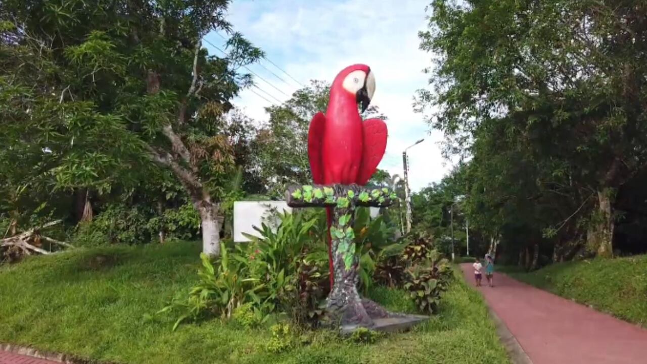 Desconéctese en el Amazonas: conozca Puerto Nariño y aprenda de las comunidades de Mocagua y Altamira