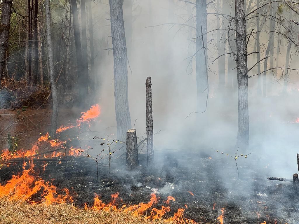 Terrible situación en el Cauca: presuntos invasores atacaron a población civil y generaron incendio forestal.