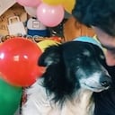 Pipo y su dueño celebrando un cumpleaños que se hizo viral.