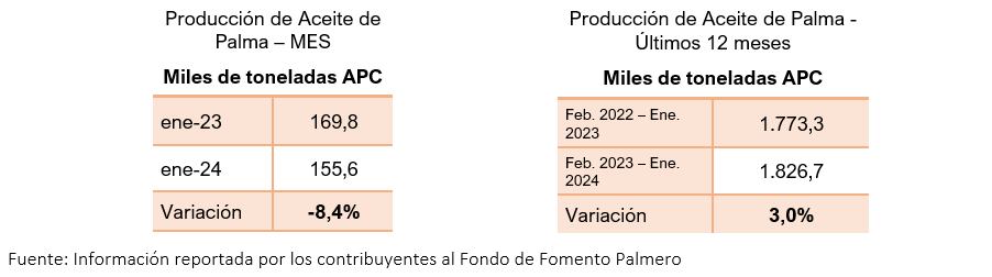 En 2024, la producción de aceite de palma tuvo un ritmo de 155 mil toneladas