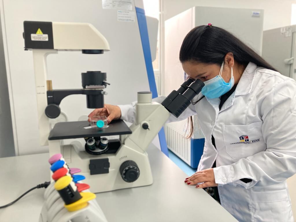 Adriana Corredor Figueroa tiene formación de pregrado en Bacteriología, Maestría y Doctorado en Ciencias Biológicas. Fue becaria de la Pontificia Universidad Javeriana para desarrollar sus estudios de doctorado, obteniendo el grado con honores Magna Cum Laude.