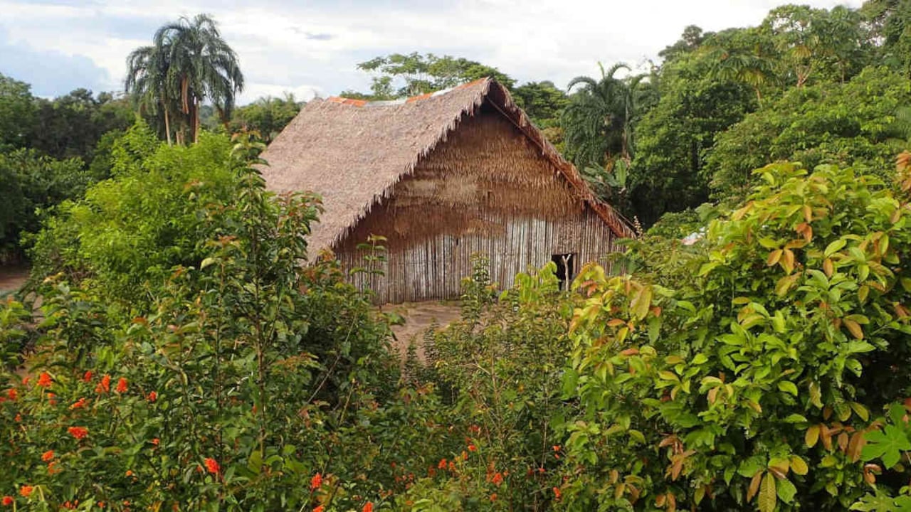 En la Amazonia colombiana hay 18 indicios de pueblos aislados. En estas zonas, las autoridades trabajan con las comunidades para evitar la llegada de foráneos como misioneros y turistas. Foto: ALIANZA ACT Y PNN.