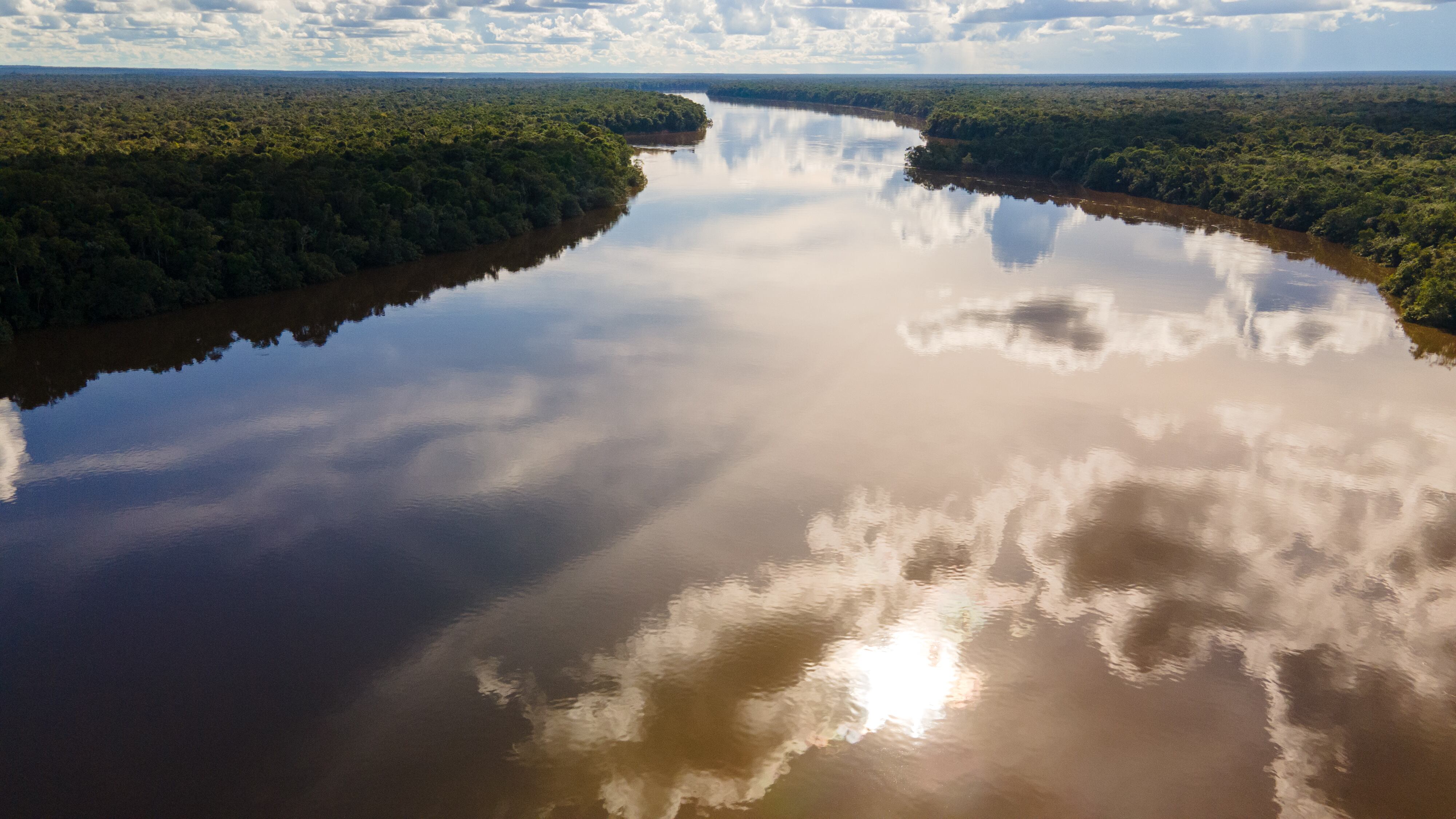 De acuerdo con cifras del Sistema de Información sobre Biodiversidad de Colombia, se estima que hay entre 200 mil y 900 mil especies vivas en el territorio.