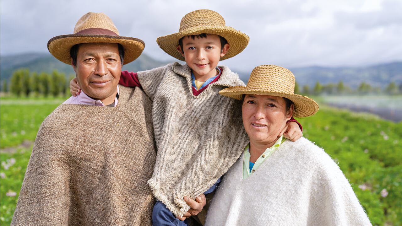 Fasecolda, junto con el programa del Gobierno nacional, Banca de las Oportunidades, trabajan para dinamizar los seguros inclusivos en el país.
