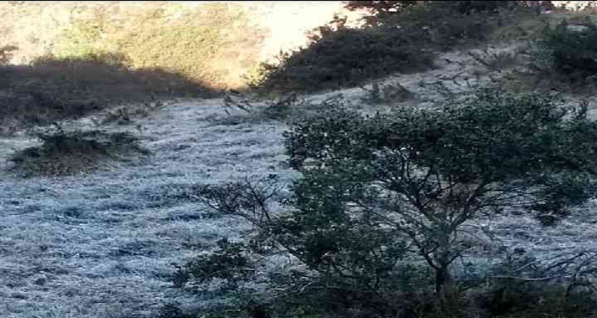 Temporada de heladas en Boyacá y Cundinamarca