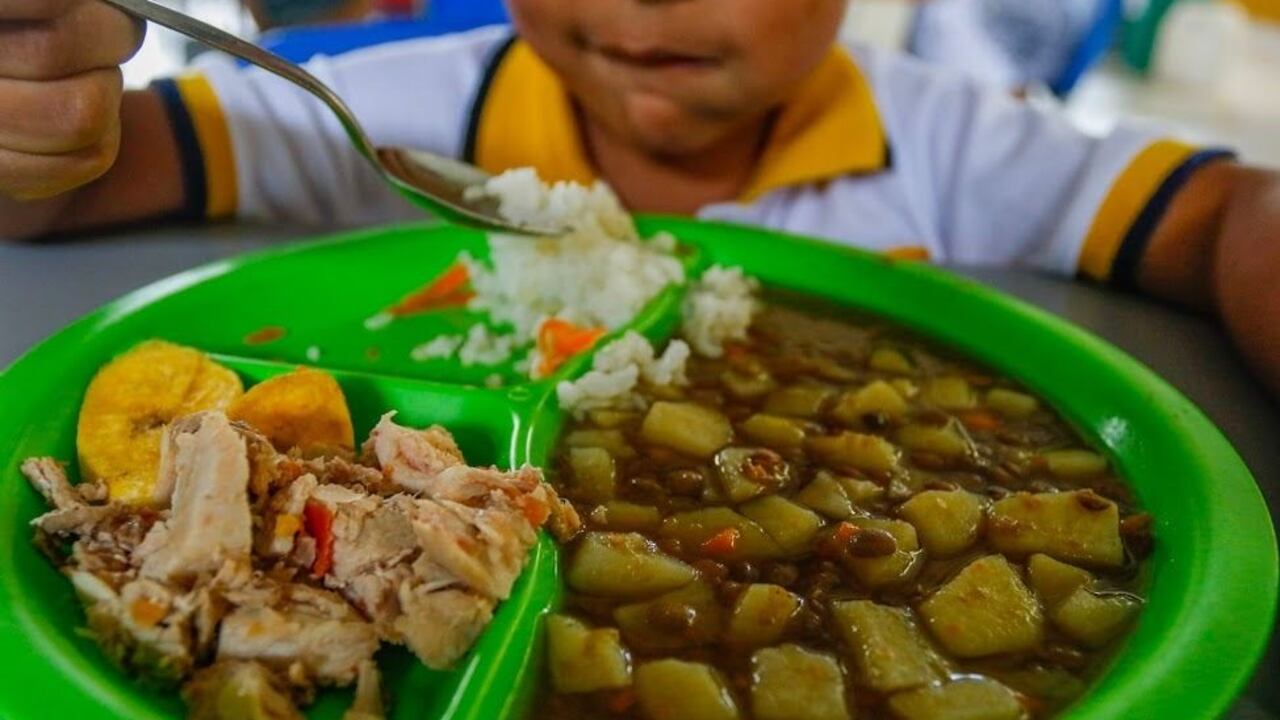 Pliego de cargos al alcalde de Fusagasugá por presuntos retrasos en ejecución del PAE dos años (referencia)