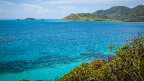 Esta es considerada una de las islas más lindas de Colombia.