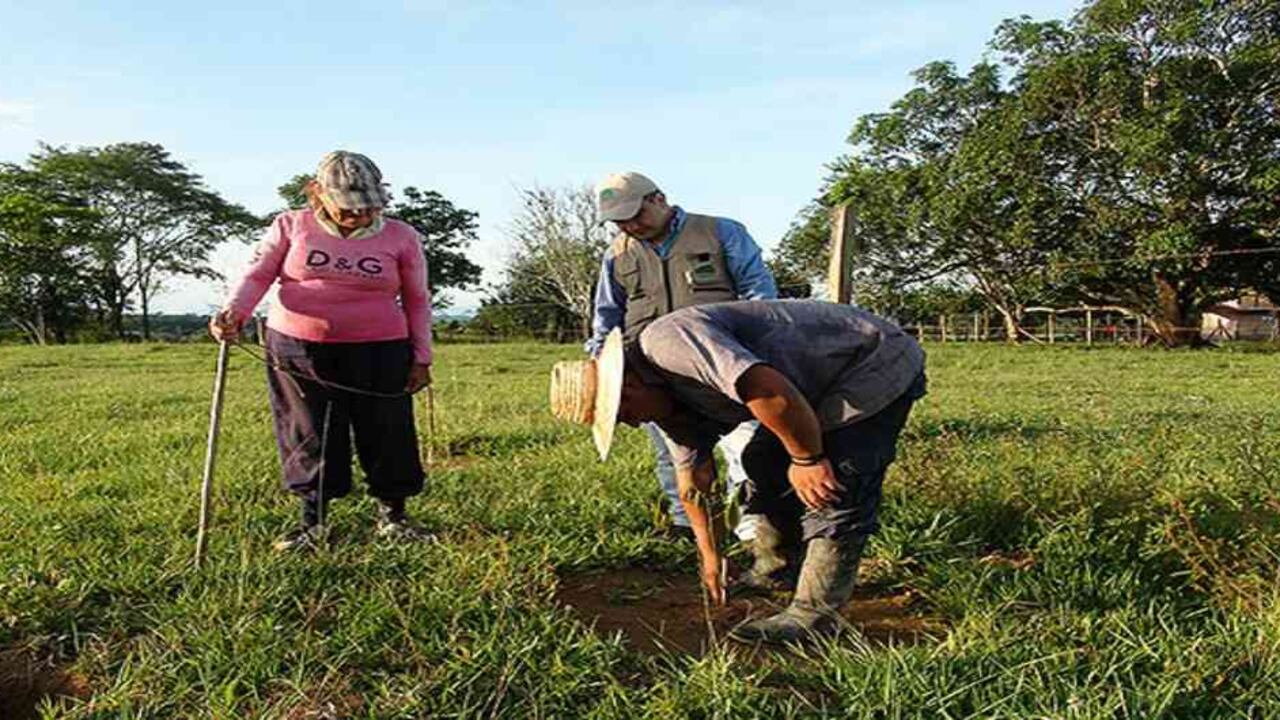 Los defensores de medio ambiente requieren de protección especial en Colombia, según cifras de un estudio. Foto ilustración: archivo/Semana.com