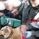 Kael, perro antinarcóticos de la Policía Nacional