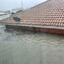 Aguas de más de un metro inundan ciudades costeras de Florida.