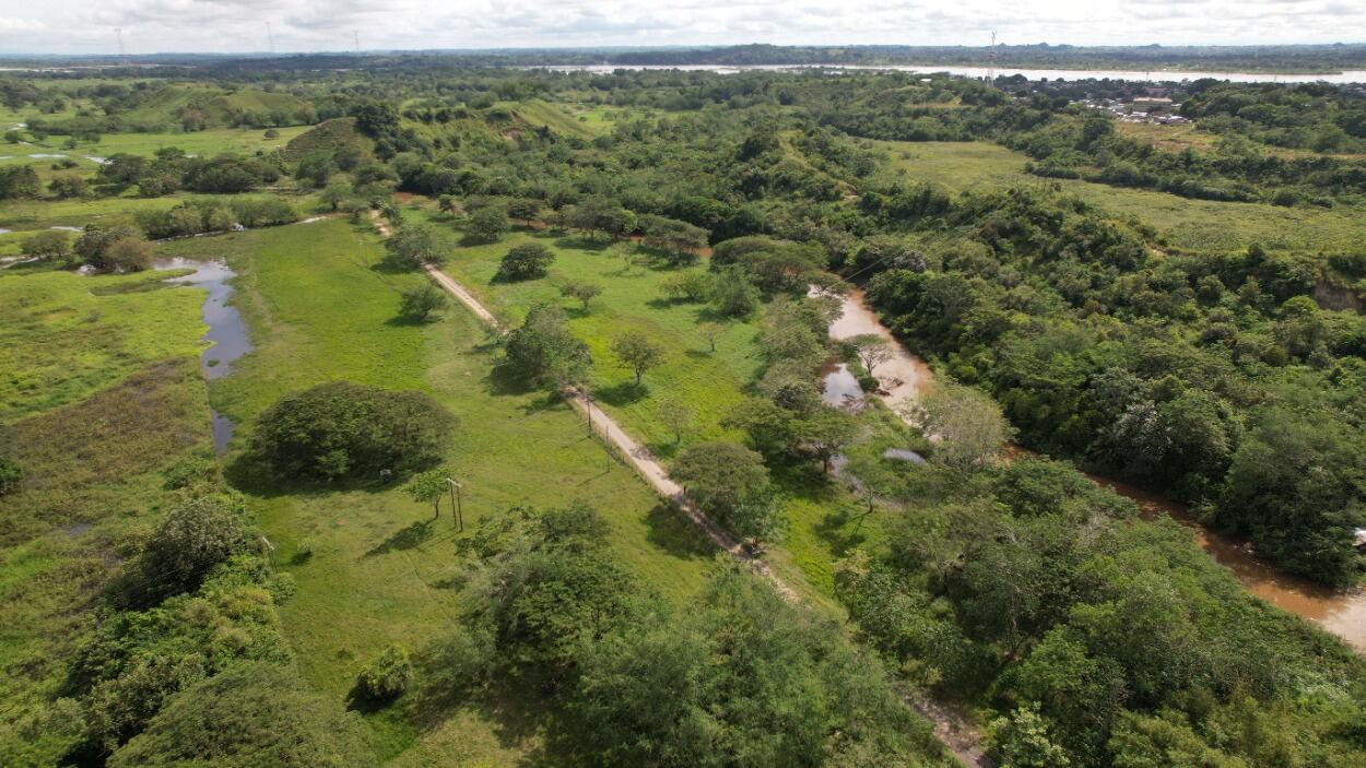 El objetivo del parque es ayudar a preservar la vida de 200 especies de fauna y flora.