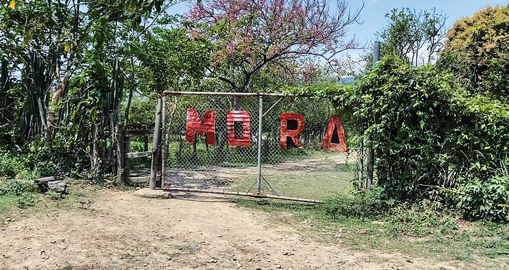 SEMANA llegó hasta el lugar de la masacre en el Catatumbo.