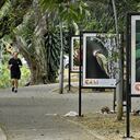 Cali se apresta para la Feria de Pájaros 2025. Exposición de fotografía de aves como abrebocas al Brid Fair 2025. foto Raúl Palacios.