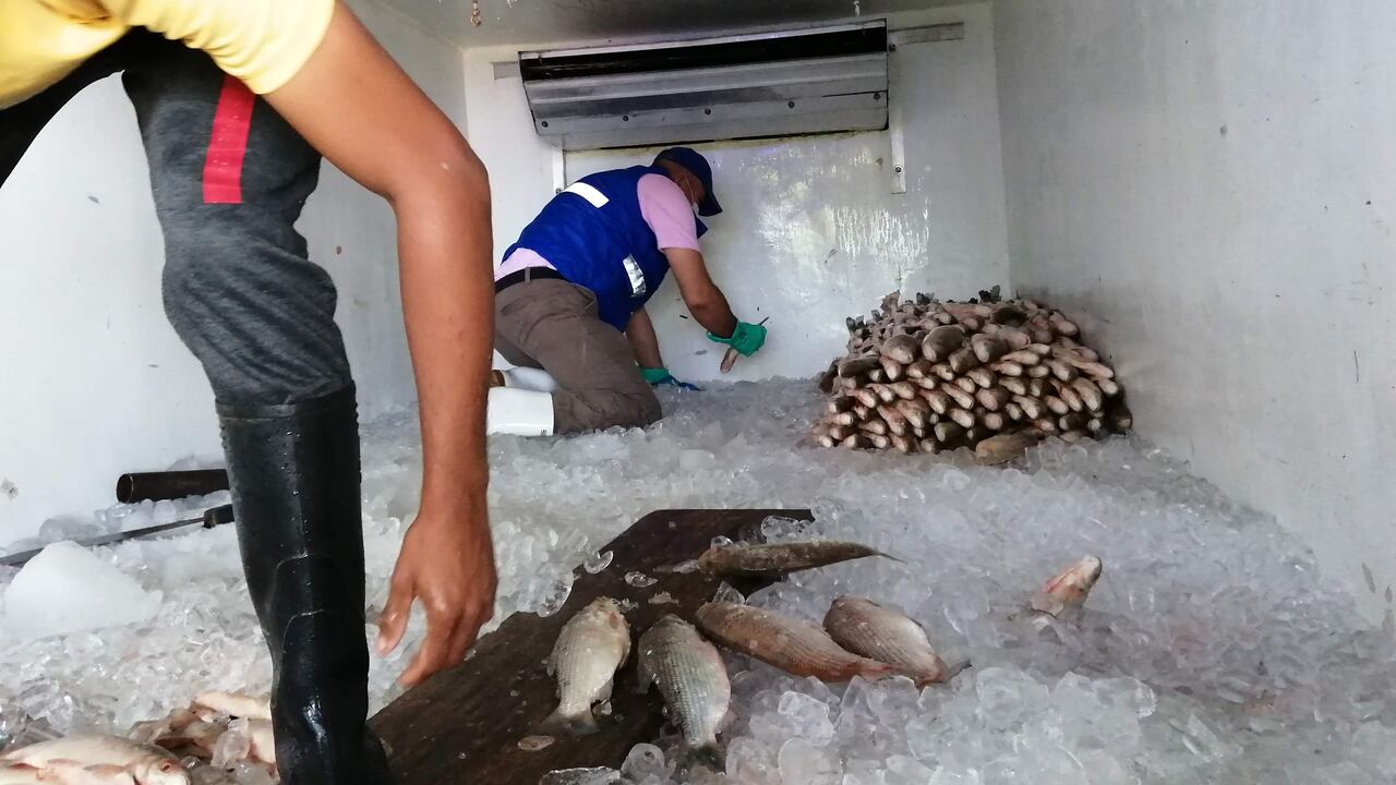 Desde el 31 de julio se debe portar el salvoconducto