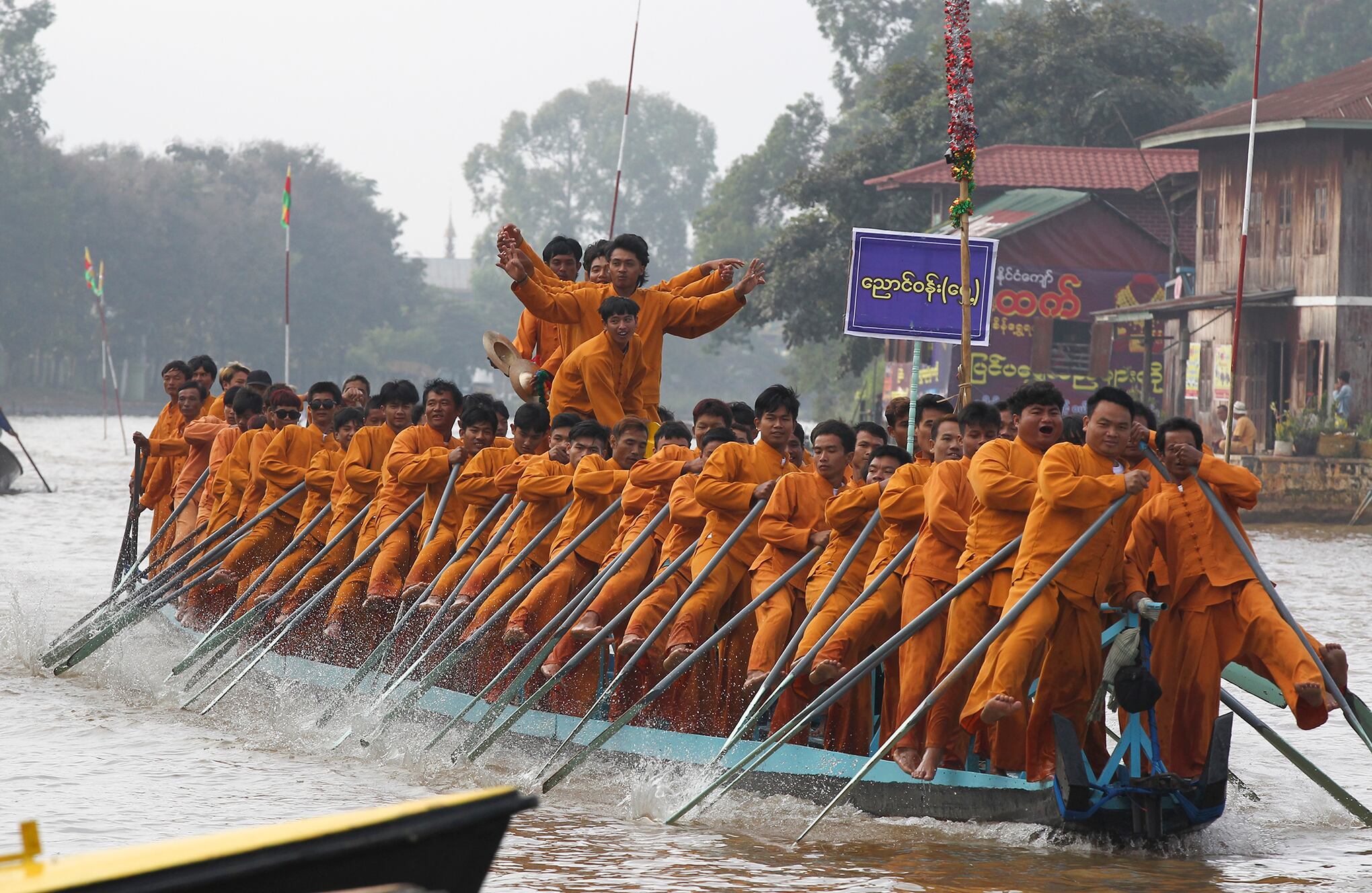 Fotos de la semana 17 noviembre
