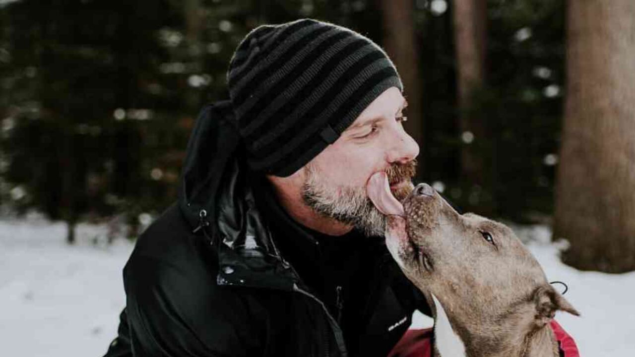 Recued man and dog. "Let's go for a walk".