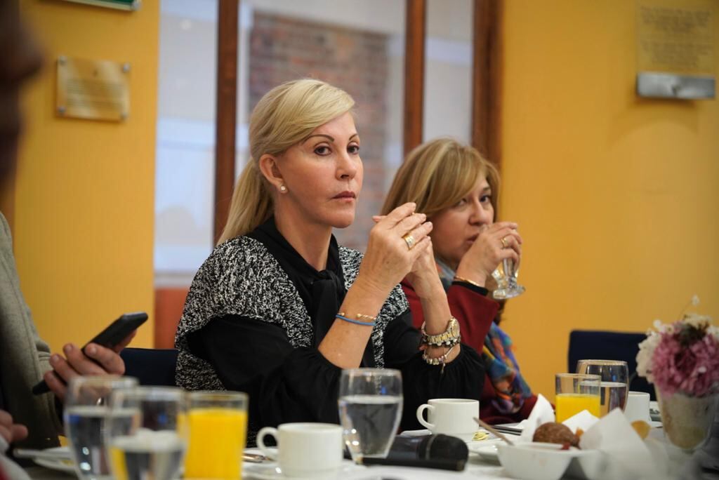 Dilian Francisca Toro dijo que el debate de la reforma a la salud se dará en el Congreso.