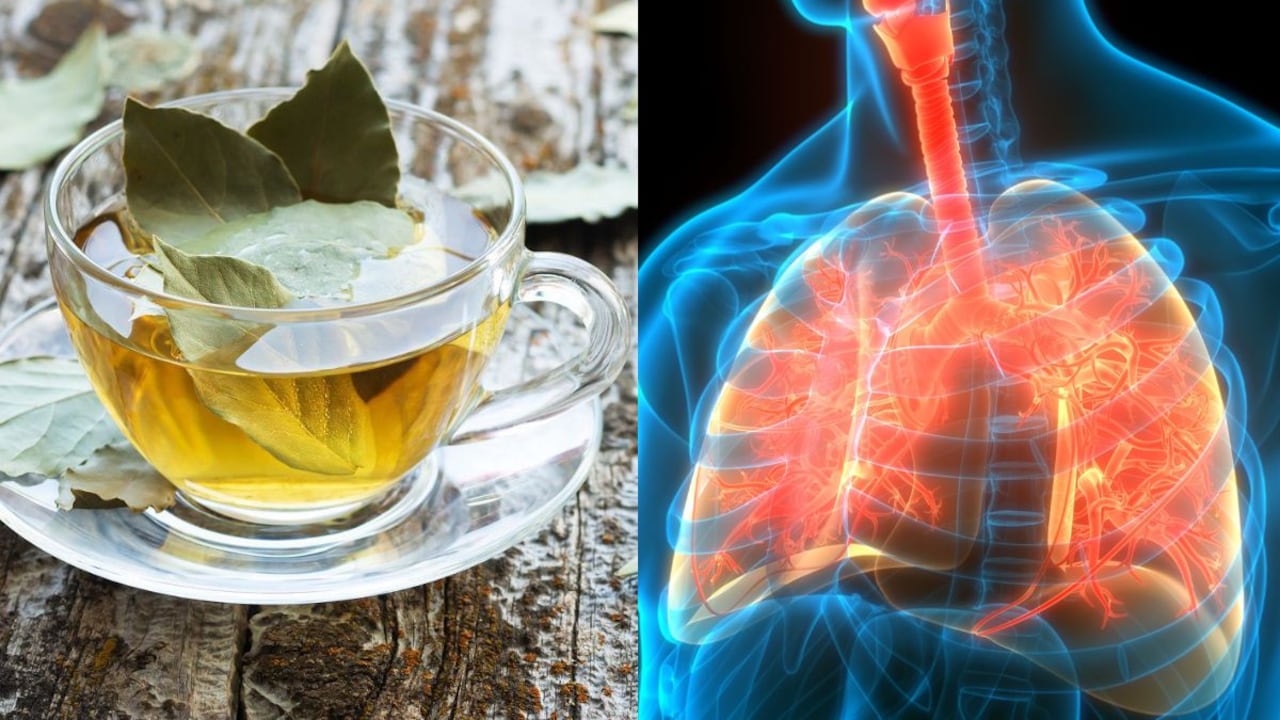 Remedios para las flemas.