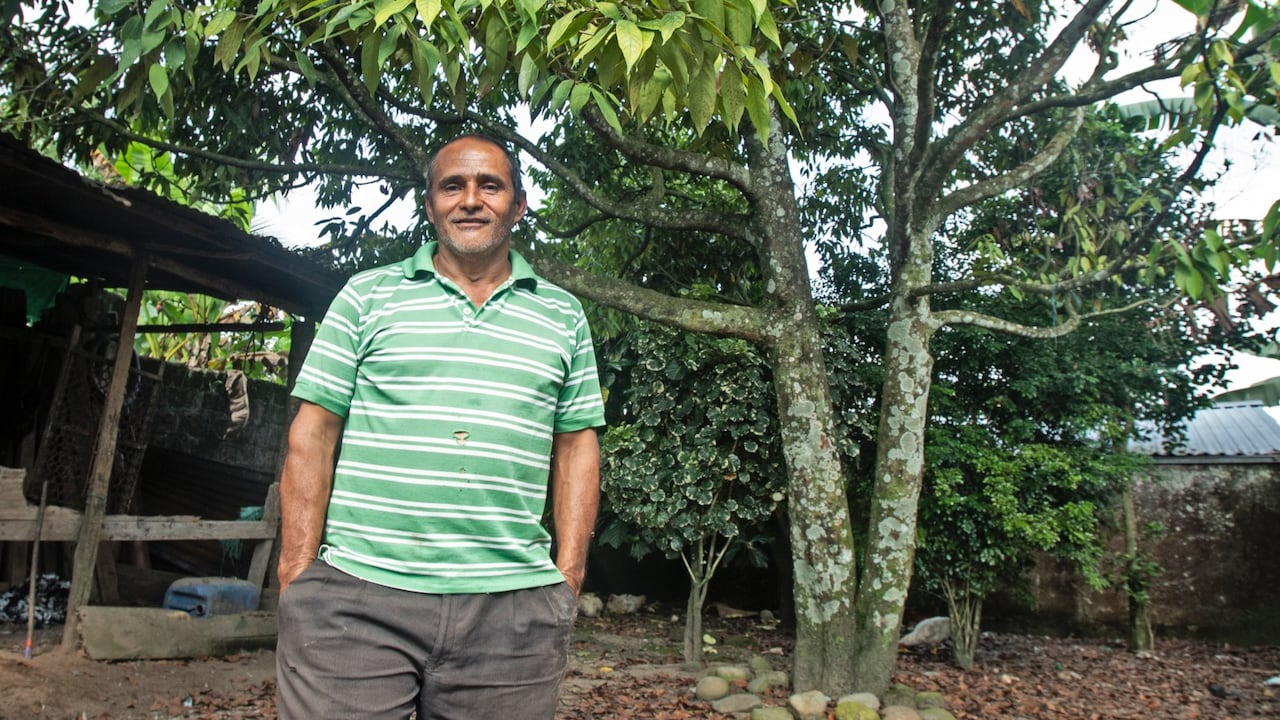 Erasmo González se dedicó a investigar y proteger la especie del árbol canelo. En la foto, uno de los 13 que aún sobreviven..